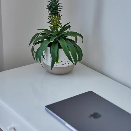 Appartement Urban Chic In The Heart Of Mechelen